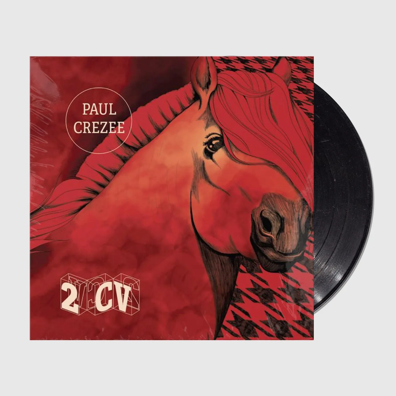 Huisconcert & live podcastopname